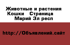 Животные и растения Кошки - Страница 3 . Марий Эл респ.